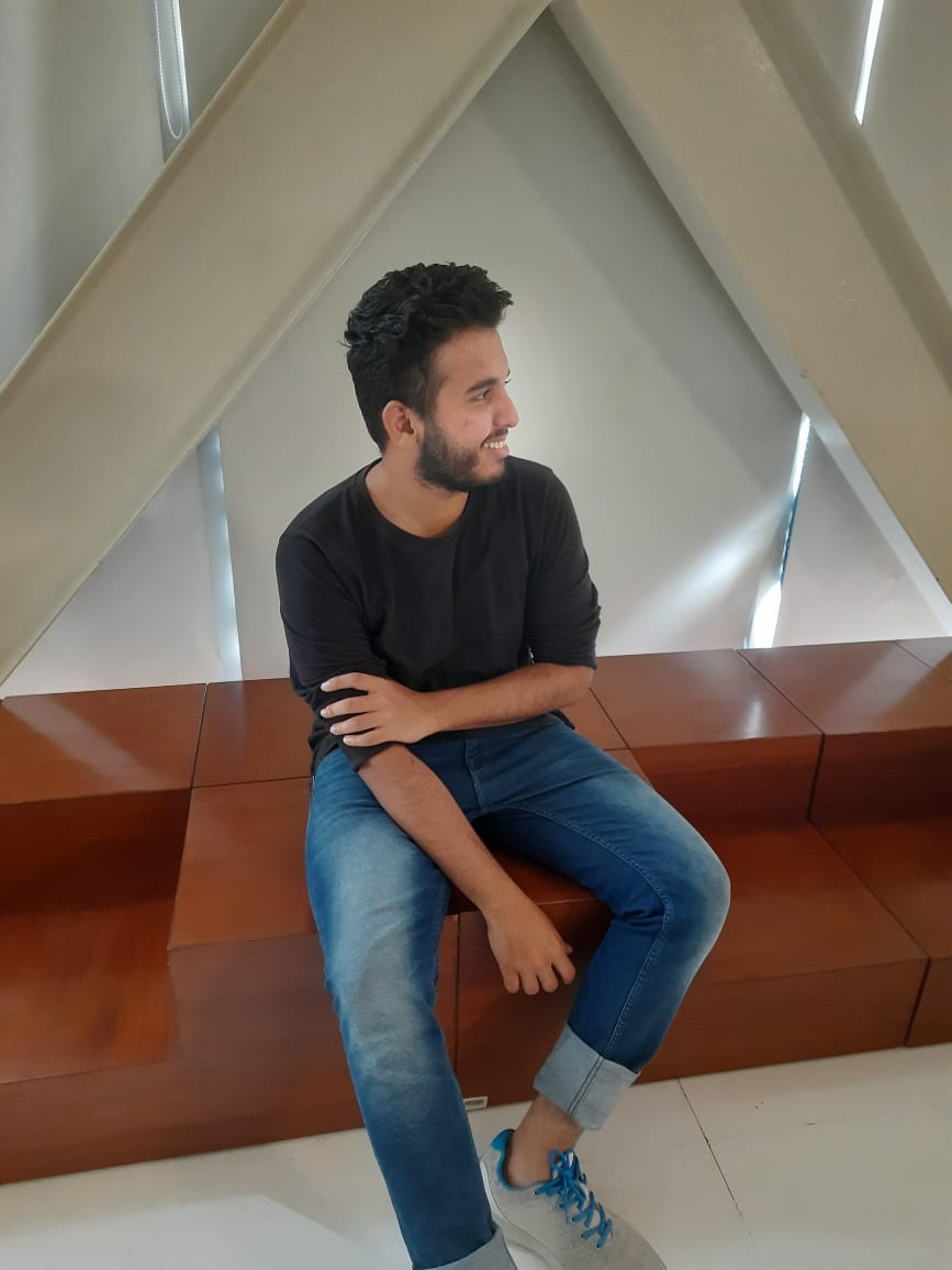Ibrahim Khalil - Professional